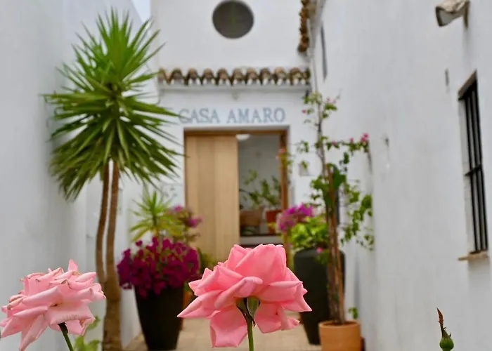 Casa Amaro