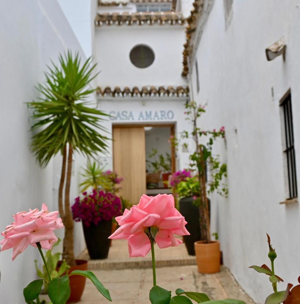 Casa Amaro